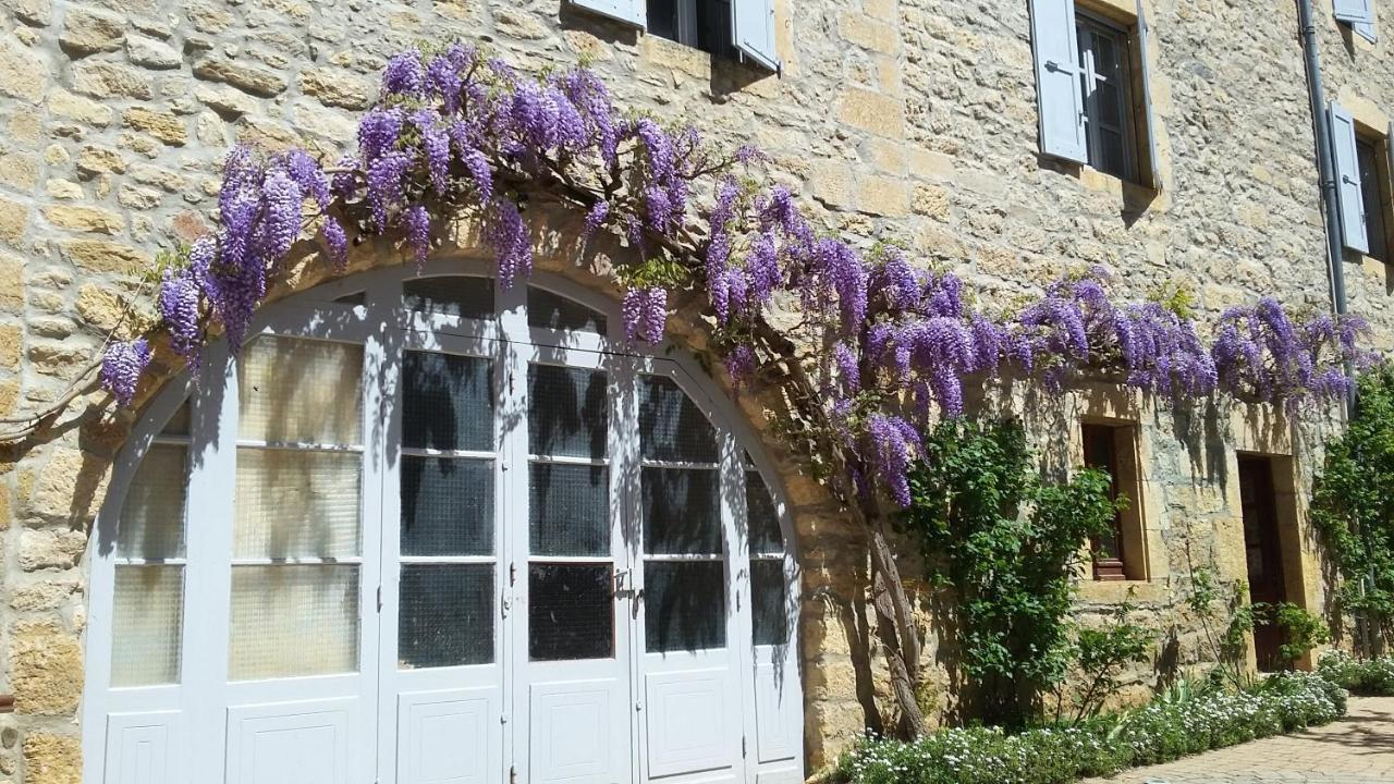 Accueil Du Couvent De Malet 호텔 Saint-Côme-dʼOlt 외부 사진